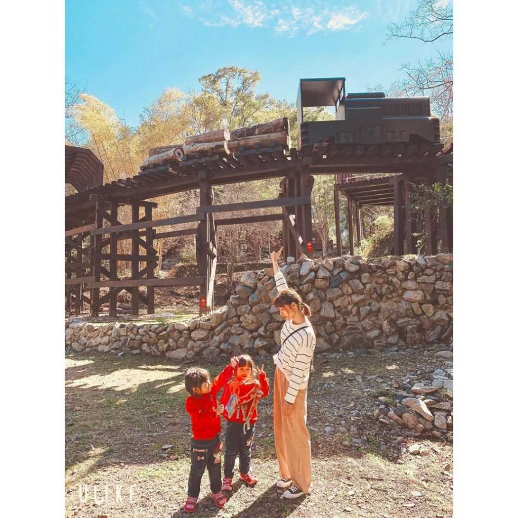 【八仙山國家森林遊樂區】鄰近台中谷關的森林秘境，台中八仙山一日遊景點攻略、門票優惠、即時影像！