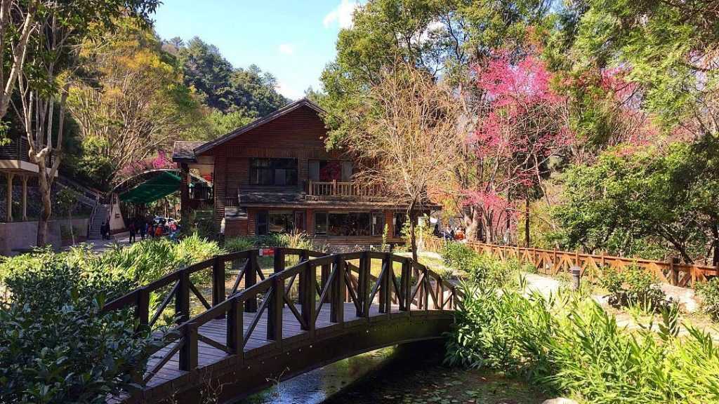 【八仙山國家森林遊樂區】鄰近台中谷關的森林秘境，台中八仙山一日遊景點攻略、門票優惠、即時影像！