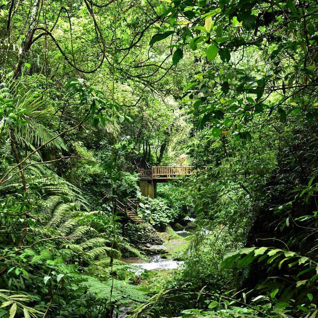 獅頭山古道