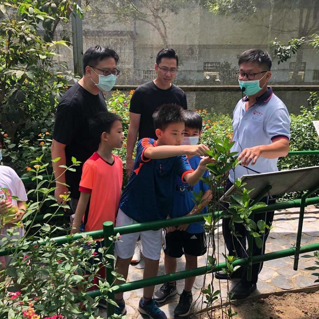 木生昆蟲博物館 埔里木生昆蟲博物館｜蝴蝶小鎮生態休閒園區｜園區導覽解說、世界珍藏標本、DIY體驗 11 2026