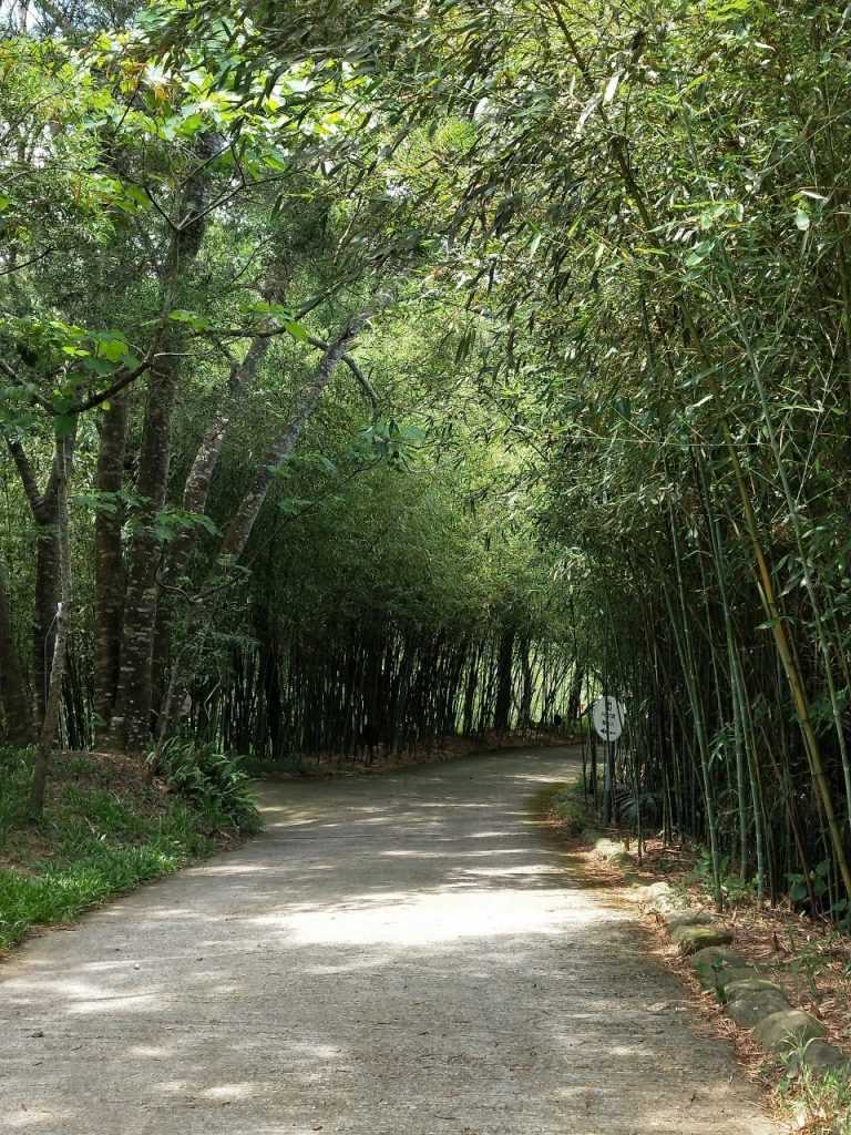 苗栗天空之城|歐式古堡景觀餐廳,夢境般的浪漫約會體驗! 苗栗天空之城|歐式古堡景觀餐廳,夢境般的浪漫約會體驗!