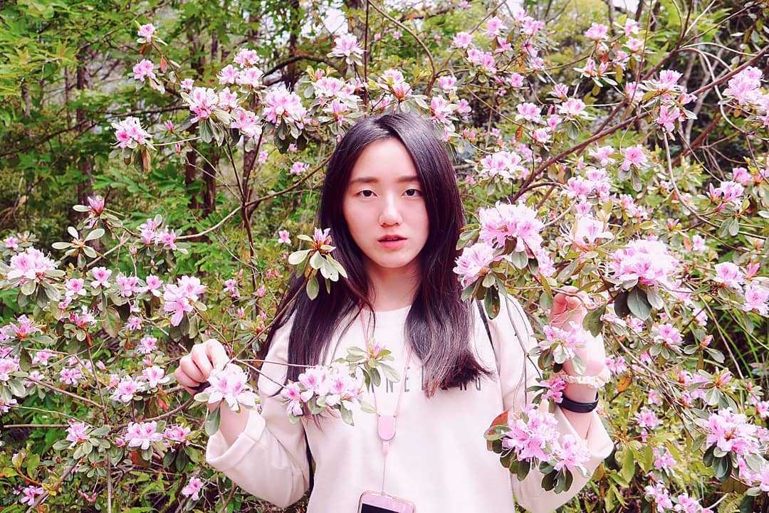 惠蓀實驗林場 |杜鵑嶺步道