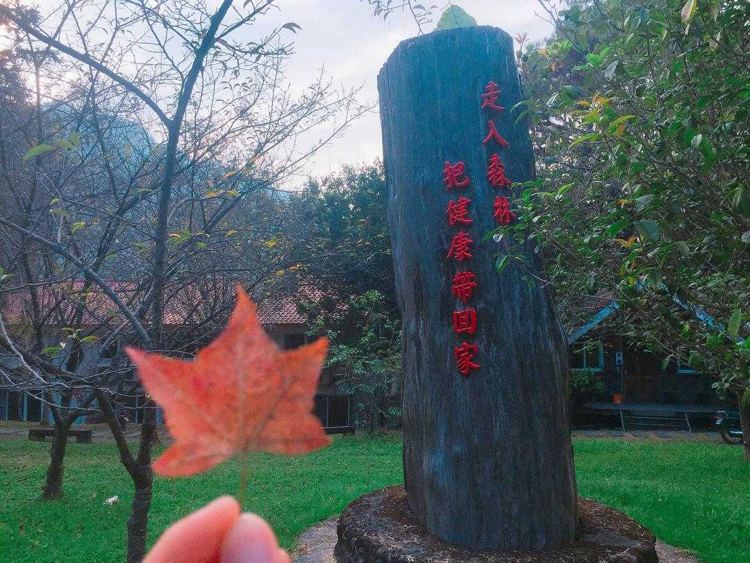 惠蓀實驗林場 惠蓀實驗林場|親子旅遊享受森林浴的時光,步道路線推薦|惠蓀林場一日遊行程、門票、住宿 2 2026