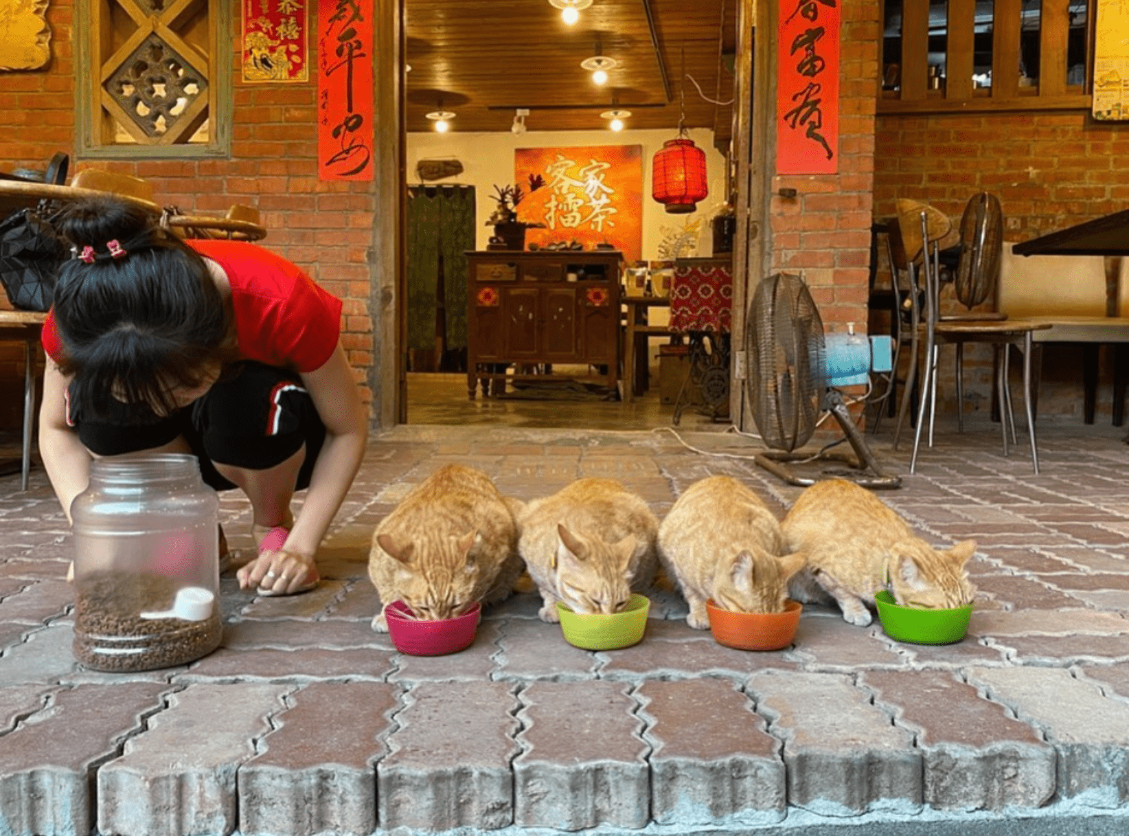 【苗栗二日遊】推薦4條路線12個景點,享受苗栗兩天一夜輕旅行 【苗栗二日遊】推薦4條路線12個景點,享受苗栗兩天一夜輕旅行