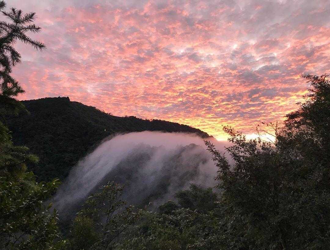 南投武界 【南投武界部落】6個必訪武界秘境、交通方式、露營住宿推薦 2 2026