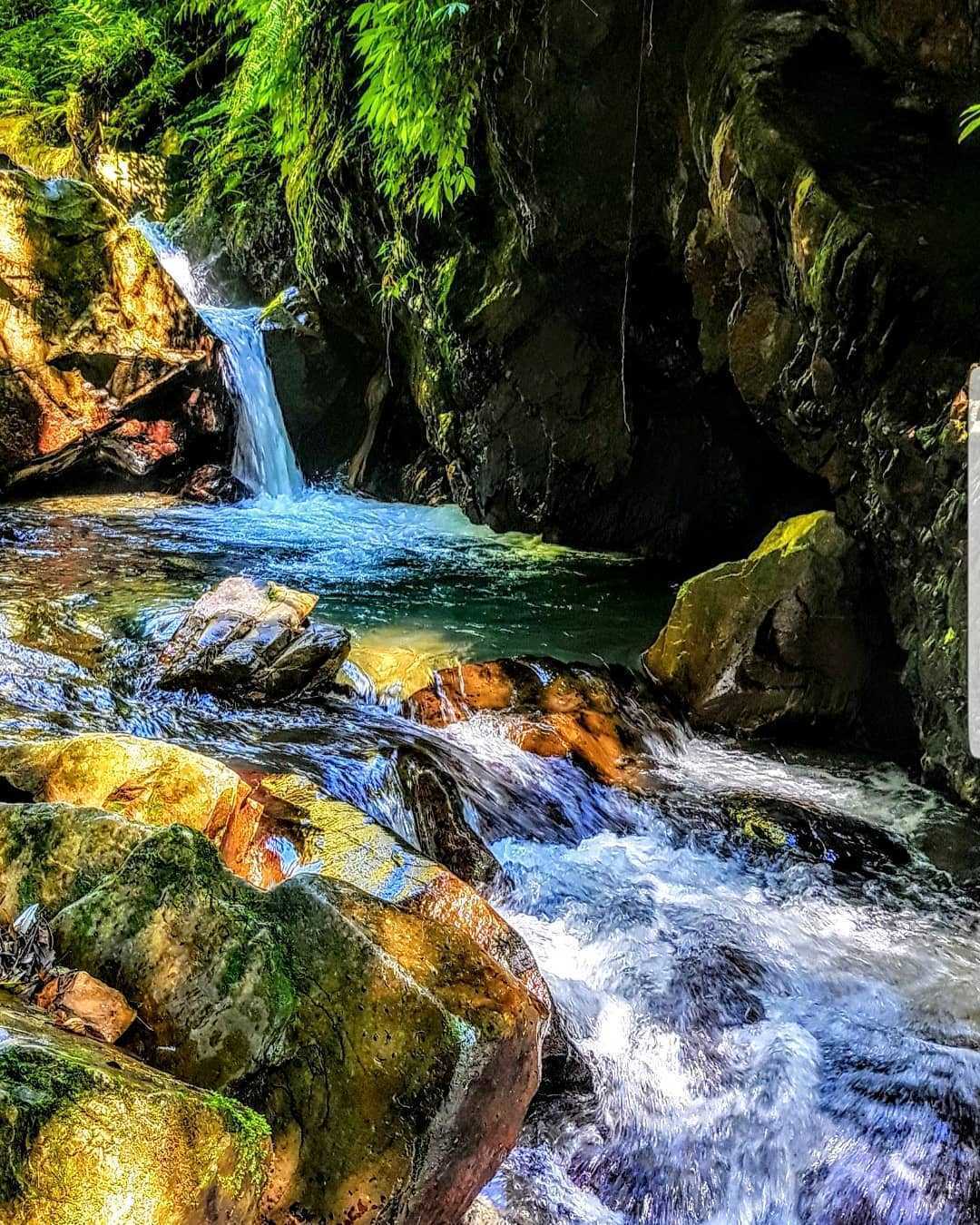 南投武界 【南投武界部落】6個必訪武界秘境、交通方式、露營住宿推薦 1 2026