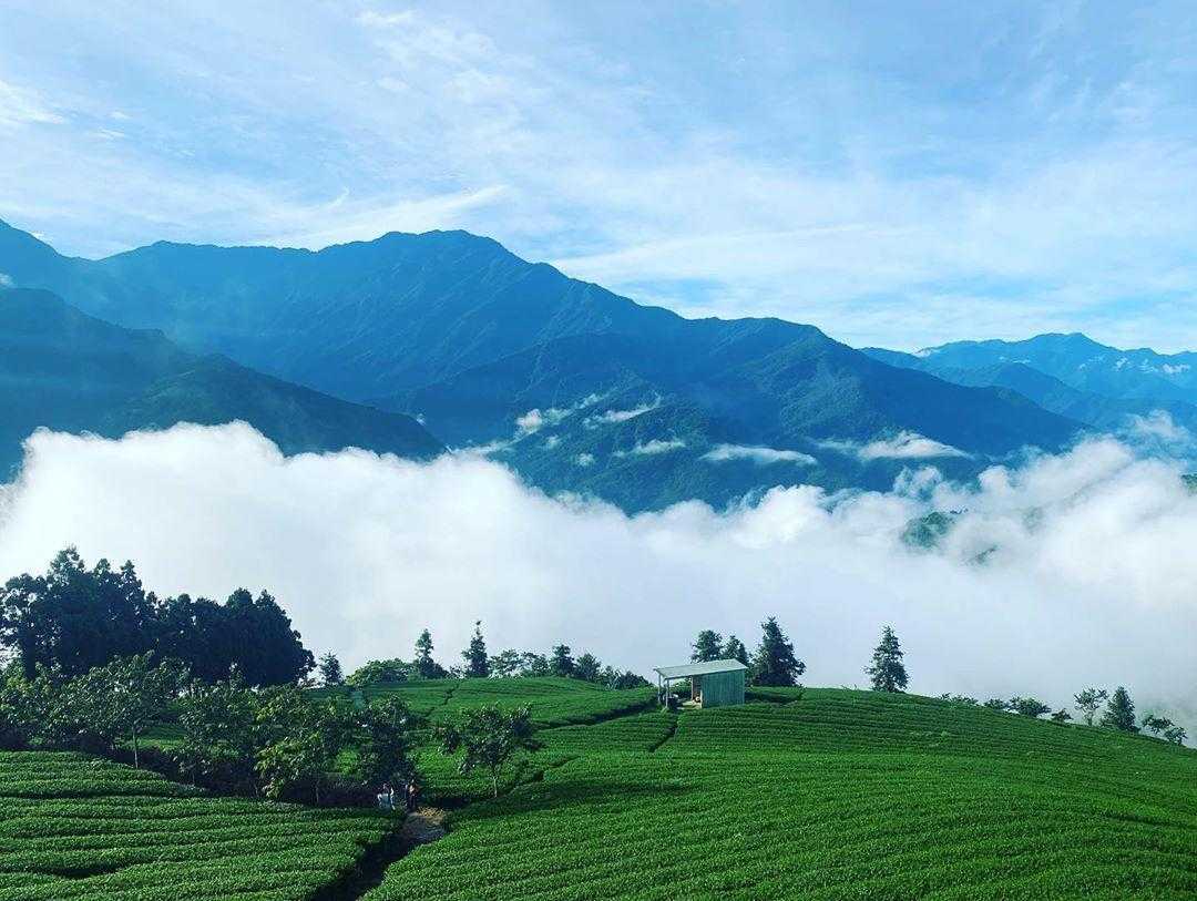 南投武界｜探索雲海的故鄉