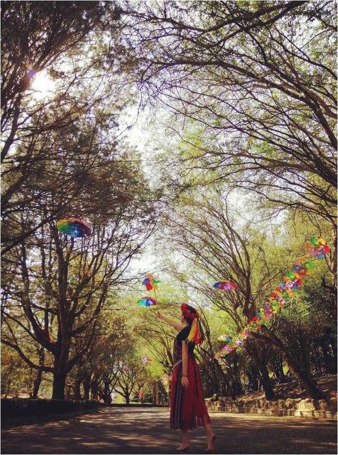 泰雅渡假村｜泰雅渡假村