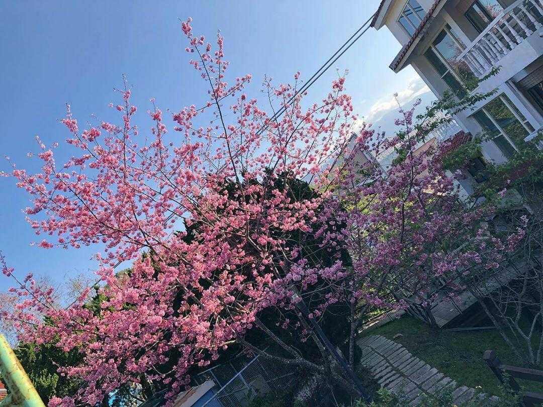 清境國民賓館 清境國民賓館|距離清境農場最近、最方便、CP值也最高的清境住宿 5 2026