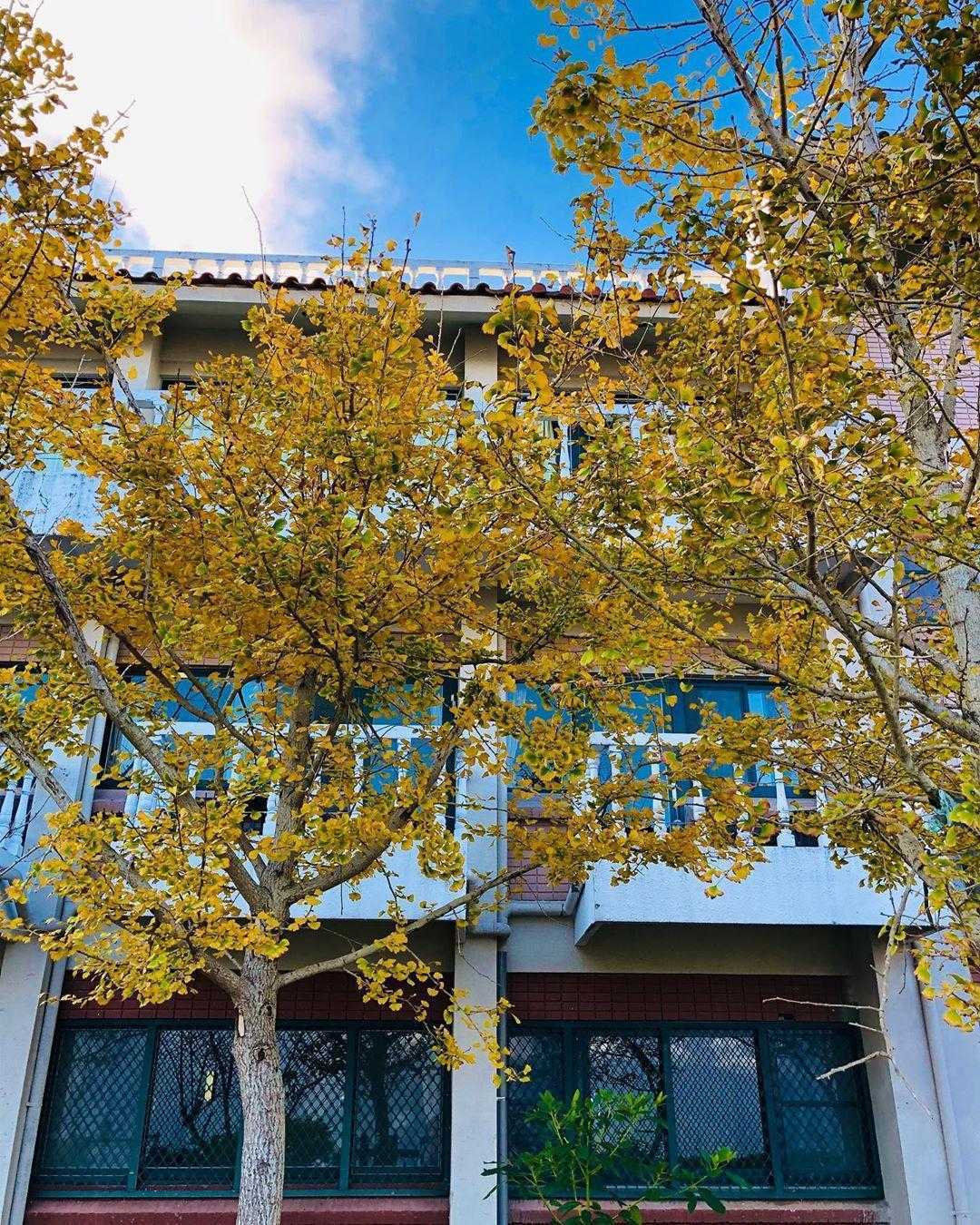 清境國民賓館 清境國民賓館|距離清境農場最近、最方便、CP值也最高的清境住宿 2 2026