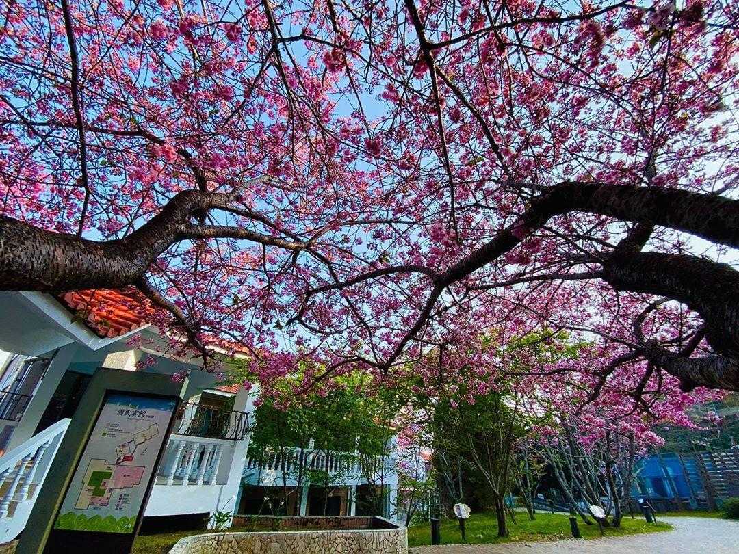 清境住宿｜推薦21間清境超仙氣住宿、歐式莊園城堡、高CP值景觀民宿、星空營區
