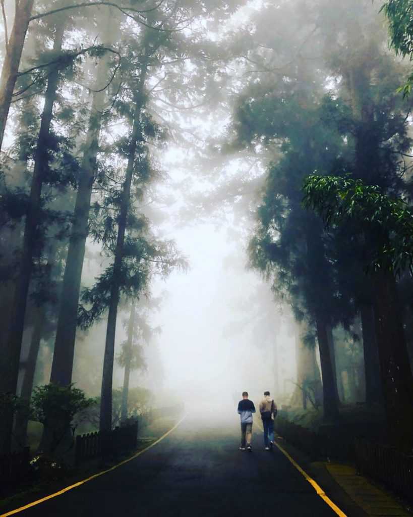 溪頭二日遊 南投溪頭二日遊【山林慢活之旅】溪頭+杉林溪兩天一夜路線，親子同遊、情侶約會景點 2 2026