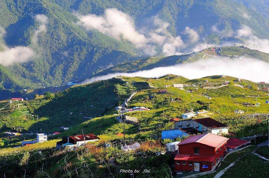 中橫公路雲海 中橫公路雲海 | 最新下雪攻略及注意事項! 帶你一起漫步在雲端！推薦中橫公路雲海秘境 3 2026