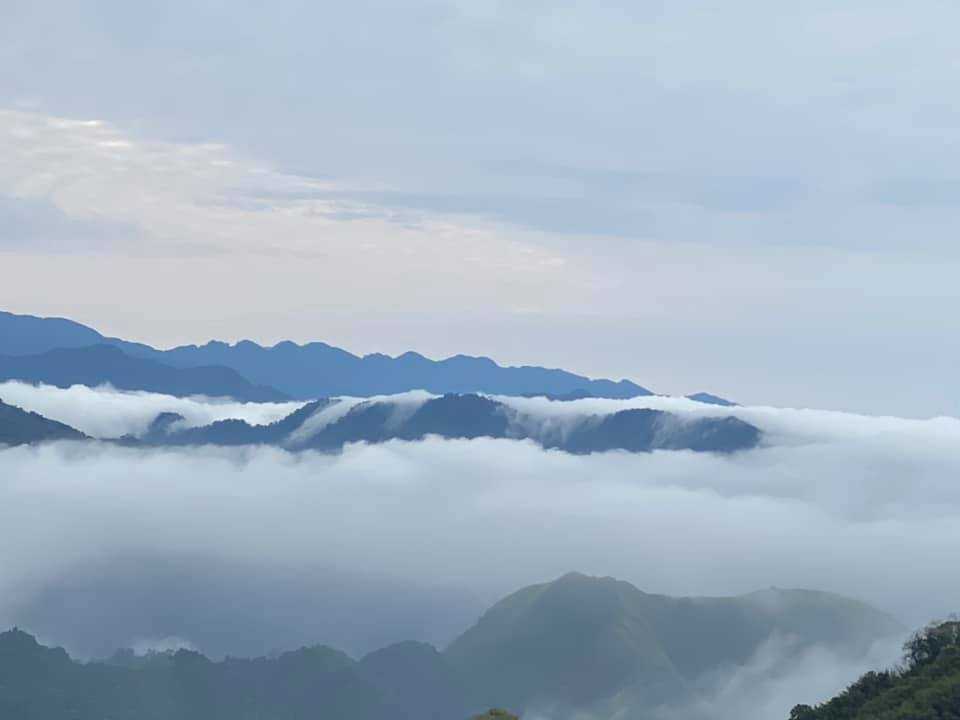 茶香花園民宿 雲海
