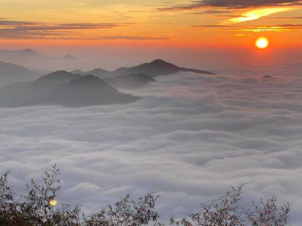 茶香花園民宿 雲海