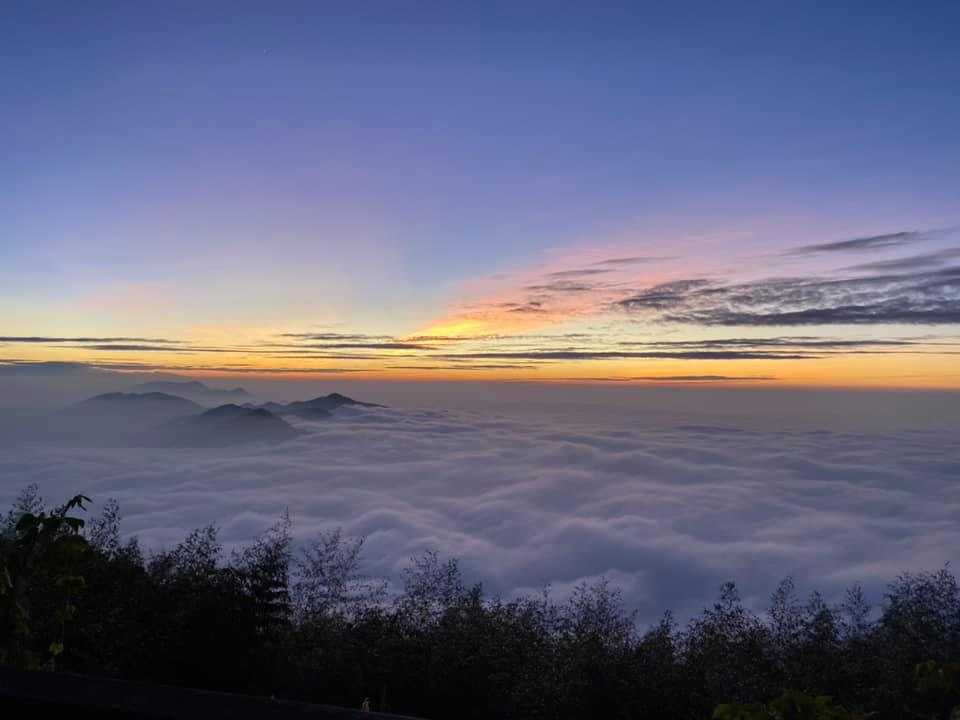 茶香花園民宿 雲海