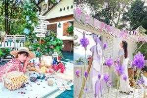 【薰衣草森林】四季都有浪漫花景！最新花況、螢火蟲季、門票、交通懶人包