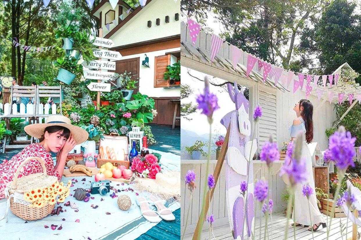 【薰衣草森林】四季都有浪漫花景！最新花況、螢火蟲季、門票、交通懶人包