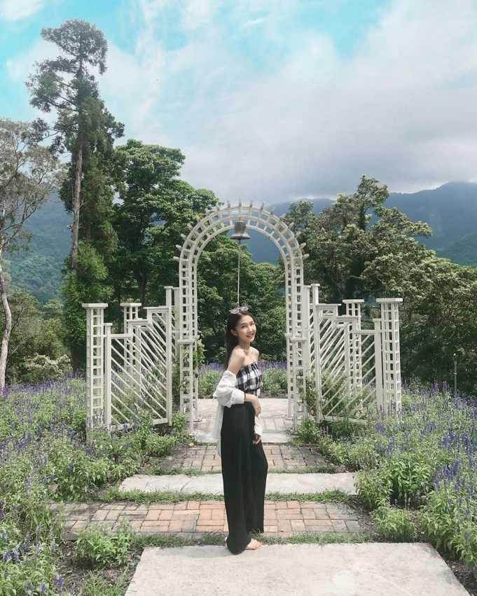 【薰衣草森林】四季都有浪漫花景!最新花況、螢火蟲季、門票、交通懶人包 【薰衣草森林】四季都有浪漫花景!最新花況、螢火蟲季、門票、交通懶人包