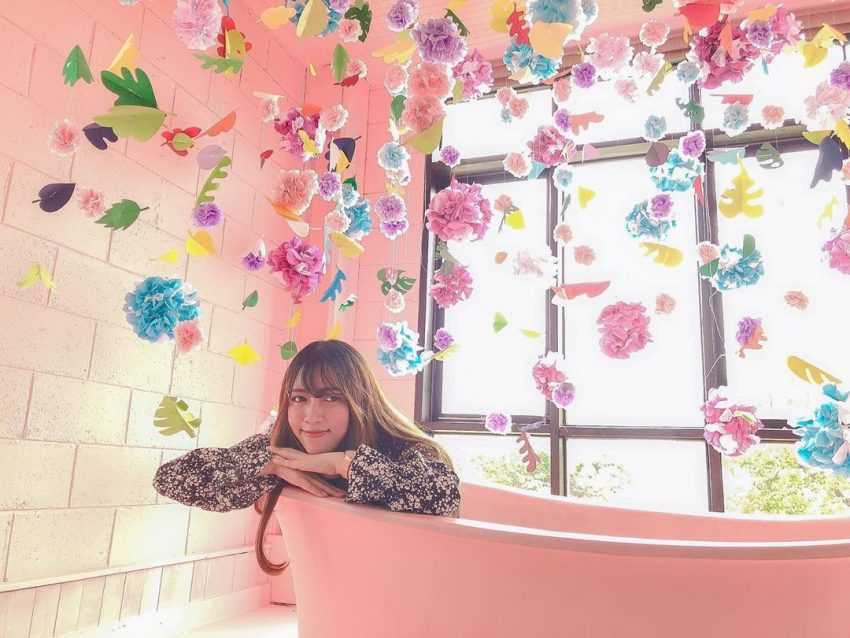 【薰衣草森林】四季都有浪漫花景!最新花況、螢火蟲季、門票、交通懶人包 【薰衣草森林】四季都有浪漫花景!最新花況、螢火蟲季、門票、交通懶人包