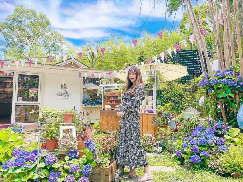 【薰衣草森林】四季都有浪漫花景!最新花況、螢火蟲季、門票、交通懶人包 【薰衣草森林】四季都有浪漫花景!最新花況、螢火蟲季、門票、交通懶人包