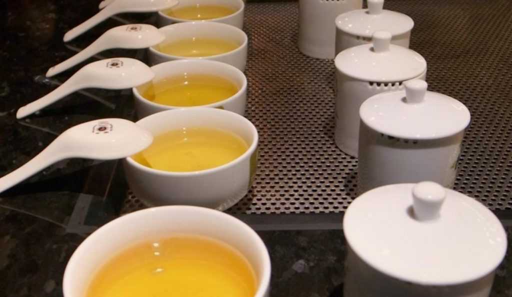 遊山茶訪 遊山茶訪茶文化館，台灣首座茶體驗觀光工廠｜探訪茶園、品茗、DIY體驗 6 2026