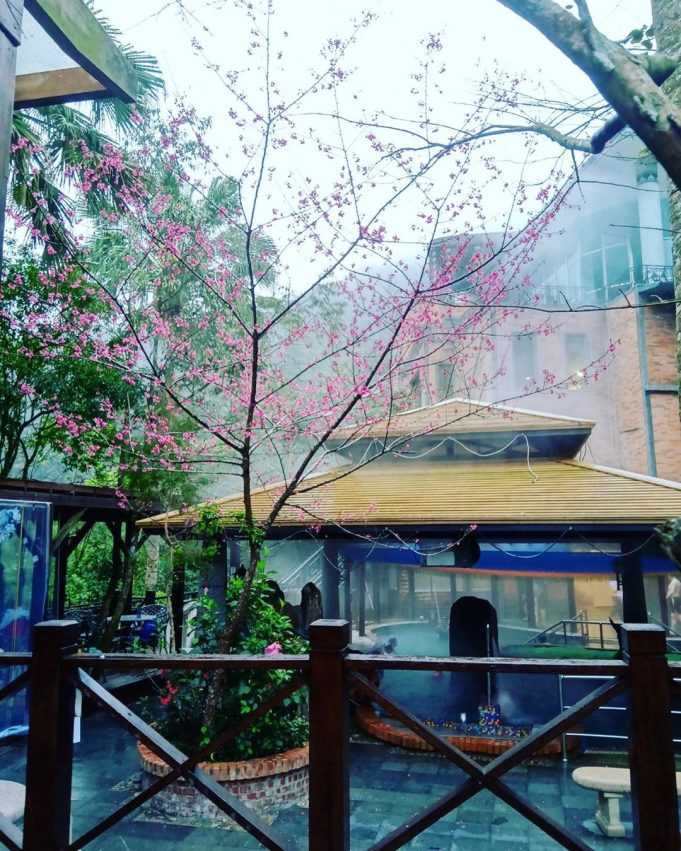 新竹唯一玻璃景觀平台,新竹尖石【青蛙石天空步道】門票優惠、交通資訊、附近景點 新竹唯一玻璃景觀平台,新竹尖石【青蛙石天空步道】門票優惠、交通資訊、附近景點