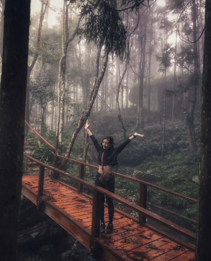 加里山 【苗栗加里山步道】新手1日單攻，步道難易度、路線、沿途美景、交通方式攻略 3 2026