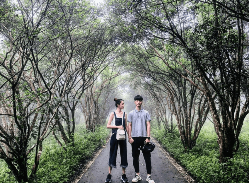 【苗栗南庄景點】不是只有老街，推薦11個南庄一日遊景點，探訪南庄私房景點