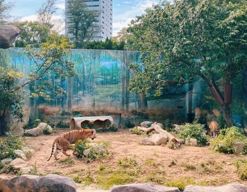 【中部親子景點推薦】精選14處新竹/苗栗/台中/南投親子景點、寓教於樂的必玩景點! 【中部親子景點推薦】精選14處新竹/苗栗/台中/南投親子景點、寓教於樂的必玩景點!