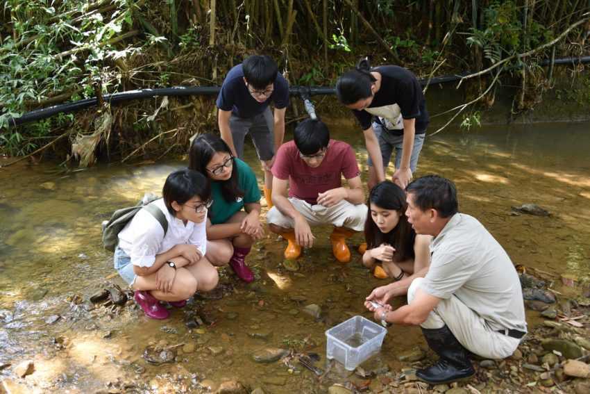 桃米生態村 桃米生態村｜紙教堂、水上瀑布、手作體驗，來場豐富的自然生態之旅！ 2 2026