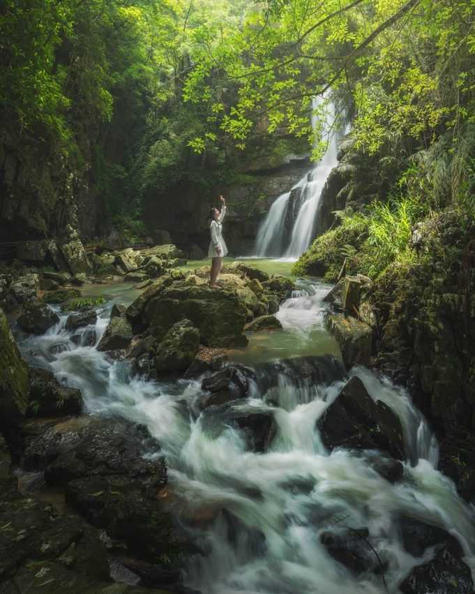 桃米生態村 桃米生態村｜紙教堂、水上瀑布、手作體驗，來場豐富的自然生態之旅！ 5 2026