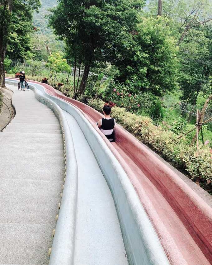 苗栗南庄【蘇維拉莊園】走入童話森林中，苗栗一日遊超好玩！《巨大蘑菇屋、精靈樹屋、侏儸紀恐龍》