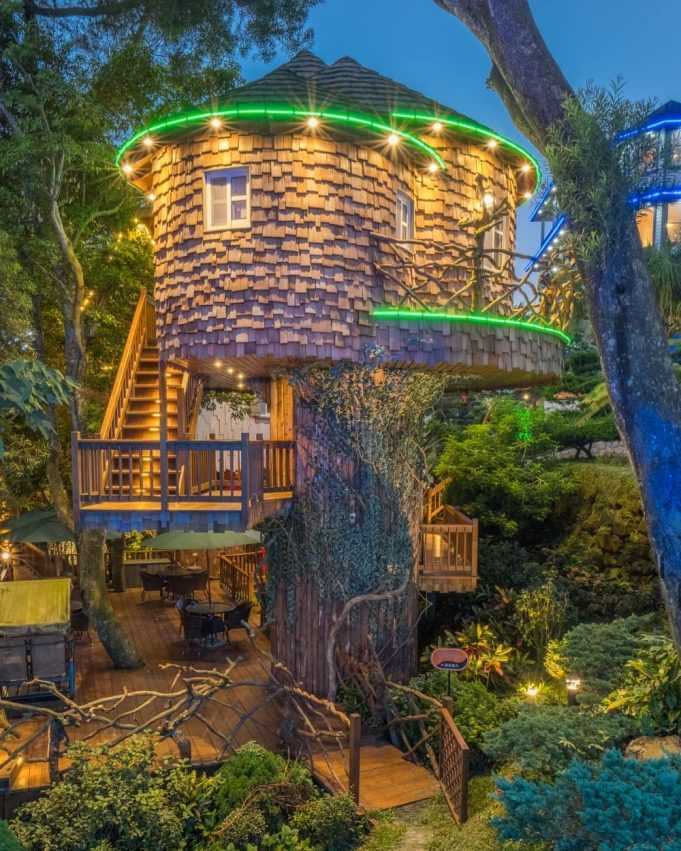 苗栗南庄【蘇維拉莊園】走入童話森林中，苗栗一日遊超好玩！《巨大蘑菇屋、精靈樹屋、侏儸紀恐龍》