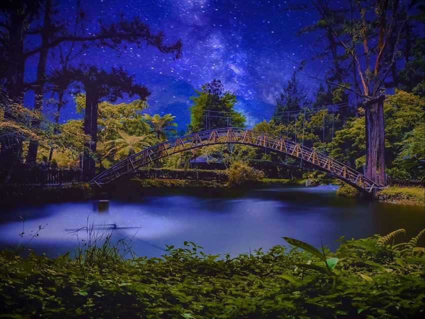 溪頭森林遊樂園