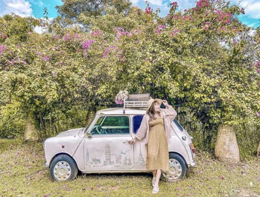 莫內秘密花園 苗栗銅鑼【莫內秘密花園】走入愛麗絲夢遊仙境,日式街道、天國階梯、水上鞦韆、巨大時鐘好好拍! 6 2026