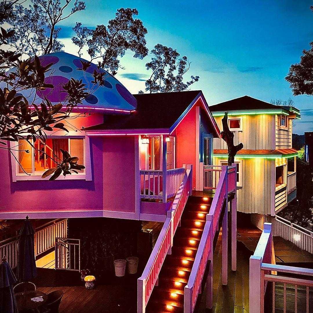 苗栗南庄【蘇維拉莊園】走入童話森林中，苗栗一日遊超好玩！《巨大蘑菇屋、精靈樹屋、侏儸紀恐龍》