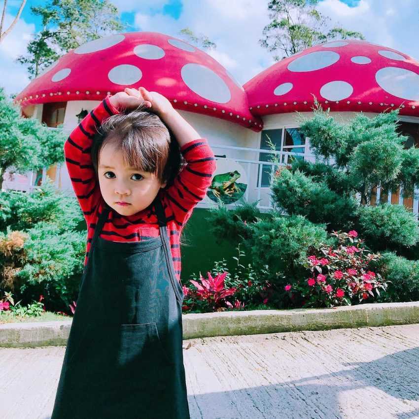 苗栗南庄【蘇維拉莊園】走入童話森林中，苗栗一日遊超好玩！《巨大蘑菇屋、精靈樹屋、侏儸紀恐龍》