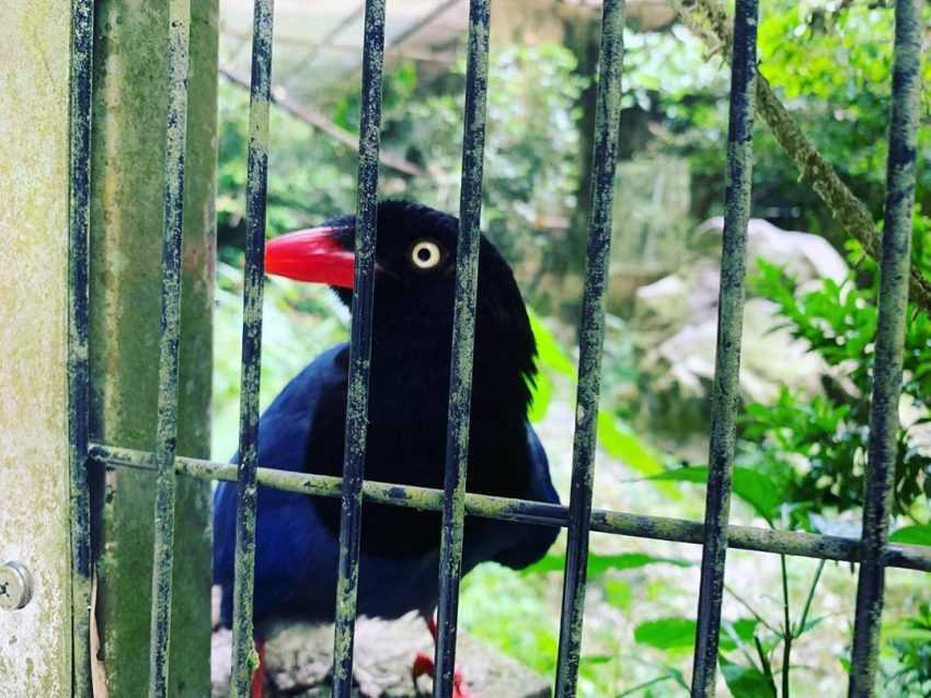 【中部親子景點推薦】精選14處新竹/苗栗/台中/南投親子景點、寓教於樂的必玩景點! 【中部親子景點推薦】精選14處新竹/苗栗/台中/南投親子景點、寓教於樂的必玩景點!