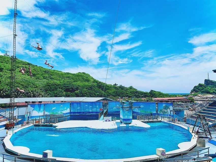 【台灣水族館攻略】人氣水族館不只有Xpark！從北到南、從東到離島，來趟水族館一日遊
