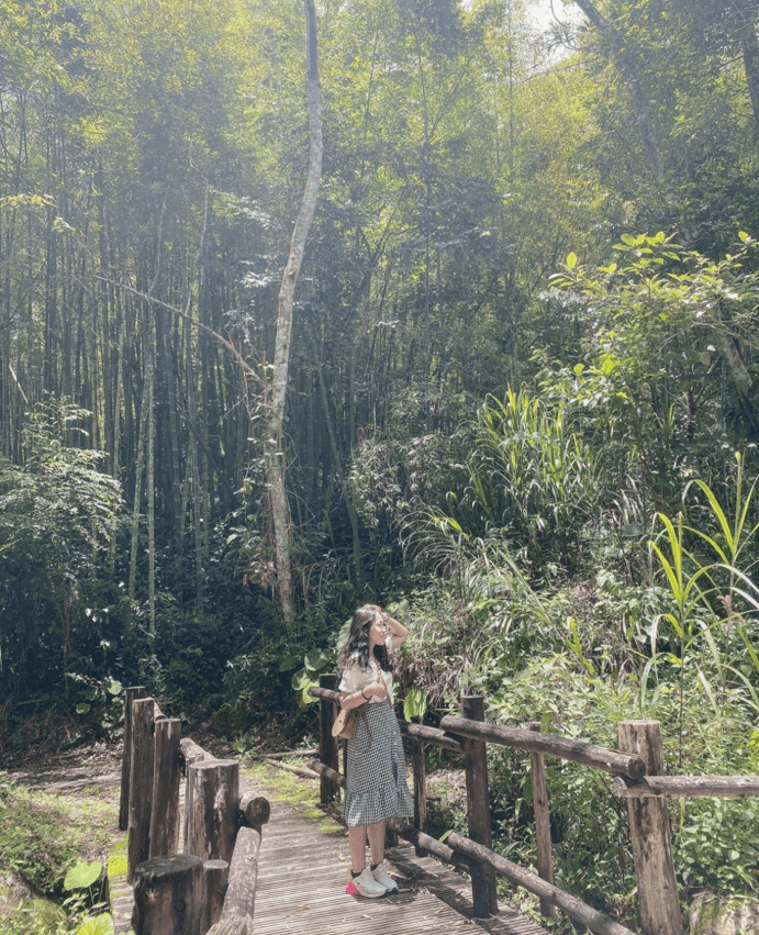 嘉義阿里山步道10選,走夢幻茶園、熱門步道享受群山環繞與落日夕陽相伴 嘉義阿里山步道10選,走夢幻茶園、熱門步道享受群山環繞與落日夕陽相伴