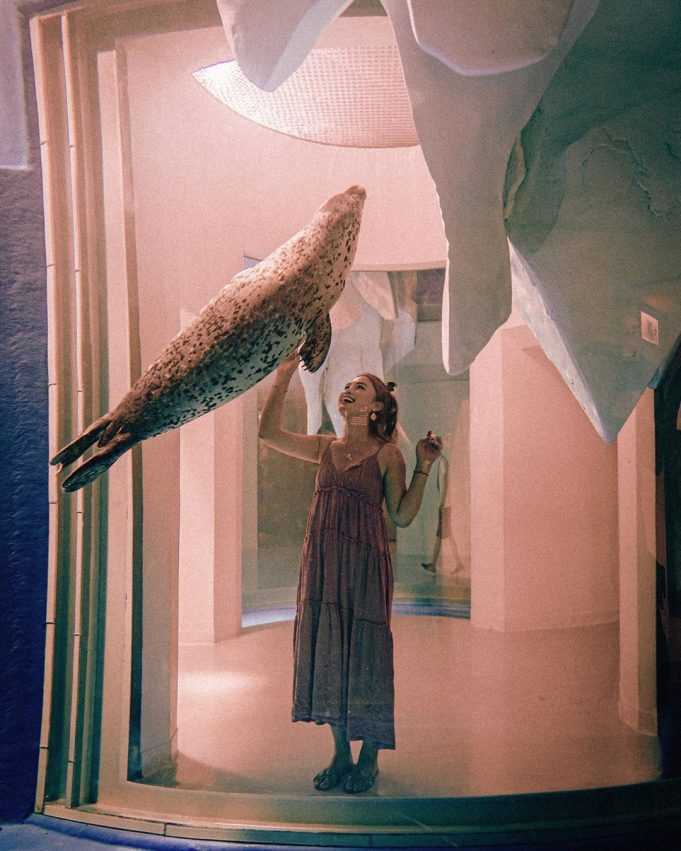 【Xpark水族館最新攻略】探索奇妙海洋世界!必逛展區/如何購票/美食餐廳/交通/夜宿懶人包 【Xpark水族館最新攻略】探索奇妙海洋世界!必逛展區/如何購票/美食餐廳/交通/夜宿懶人包