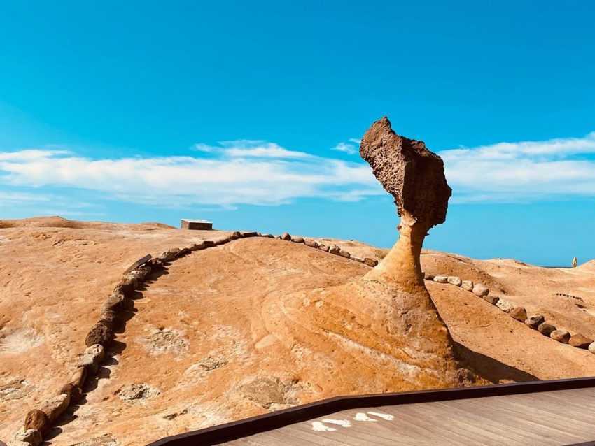 【台灣水族館攻略】人氣水族館不只有Xpark！從北到南、從東到離島，來趟水族館一日遊