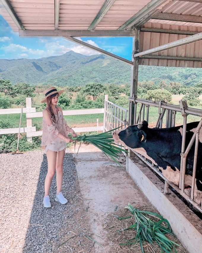 【台東景點推薦】最新60個台東一日遊必去景點，帶你輕鬆規劃台東旅遊景點，台東好玩的景點通通在這裡！