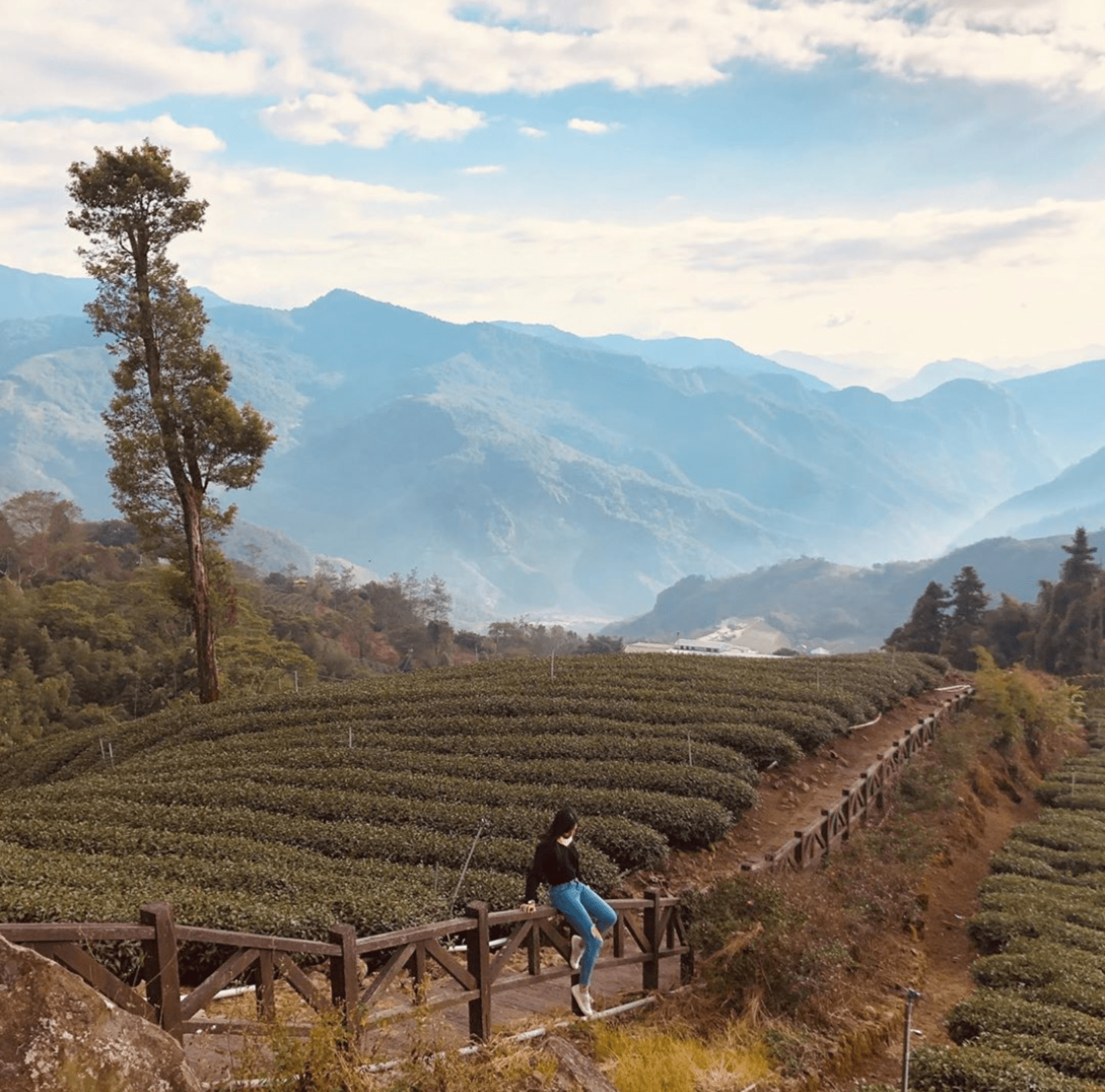 嘉義阿里山步道10選,走夢幻茶園、熱門步道享受群山環繞與落日夕陽相伴 嘉義阿里山步道10選,走夢幻茶園、熱門步道享受群山環繞與落日夕陽相伴