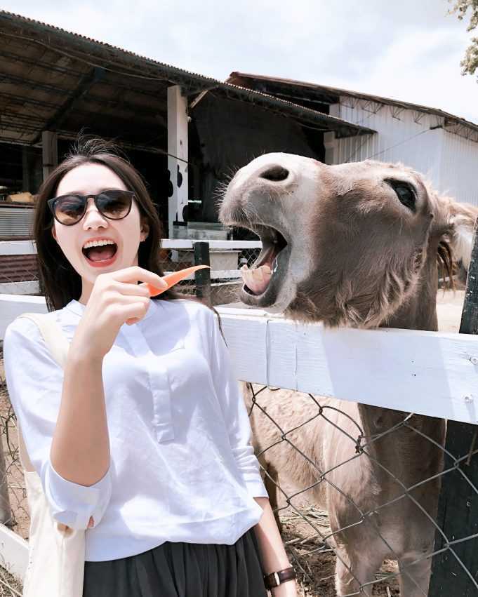 台東熱氣球 【2026台東熱氣球】聯名吉伊卡哇！台東熱氣球嘉年華時間&交通全攻略 11 2026