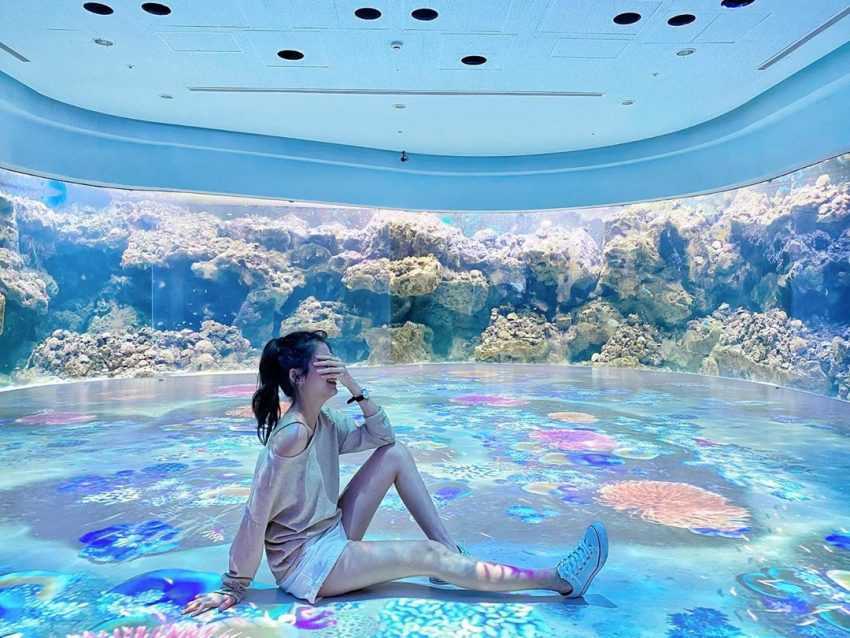 【Xpark水族館最新攻略】探索奇妙海洋世界!必逛展區/如何購票/美食餐廳/交通/夜宿懶人包 【Xpark水族館最新攻略】探索奇妙海洋世界!必逛展區/如何購票/美食餐廳/交通/夜宿懶人包