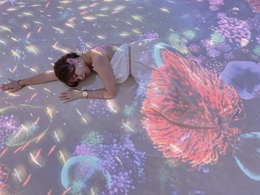【Xpark水族館最新攻略】探索奇妙海洋世界!必逛展區/如何購票/美食餐廳/交通/夜宿懶人包 【Xpark水族館最新攻略】探索奇妙海洋世界!必逛展區/如何購票/美食餐廳/交通/夜宿懶人包