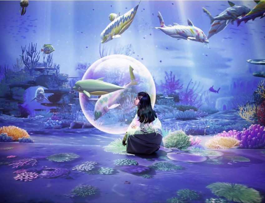 【Xpark水族館最新攻略】探索奇妙海洋世界!必逛展區/如何購票/美食餐廳/交通/夜宿懶人包 【Xpark水族館最新攻略】探索奇妙海洋世界!必逛展區/如何購票/美食餐廳/交通/夜宿懶人包
