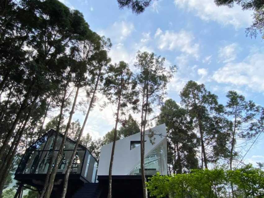 南投九樹森林 二館